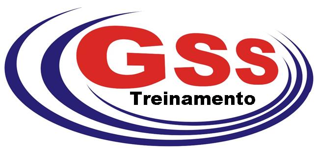 Portal GSS